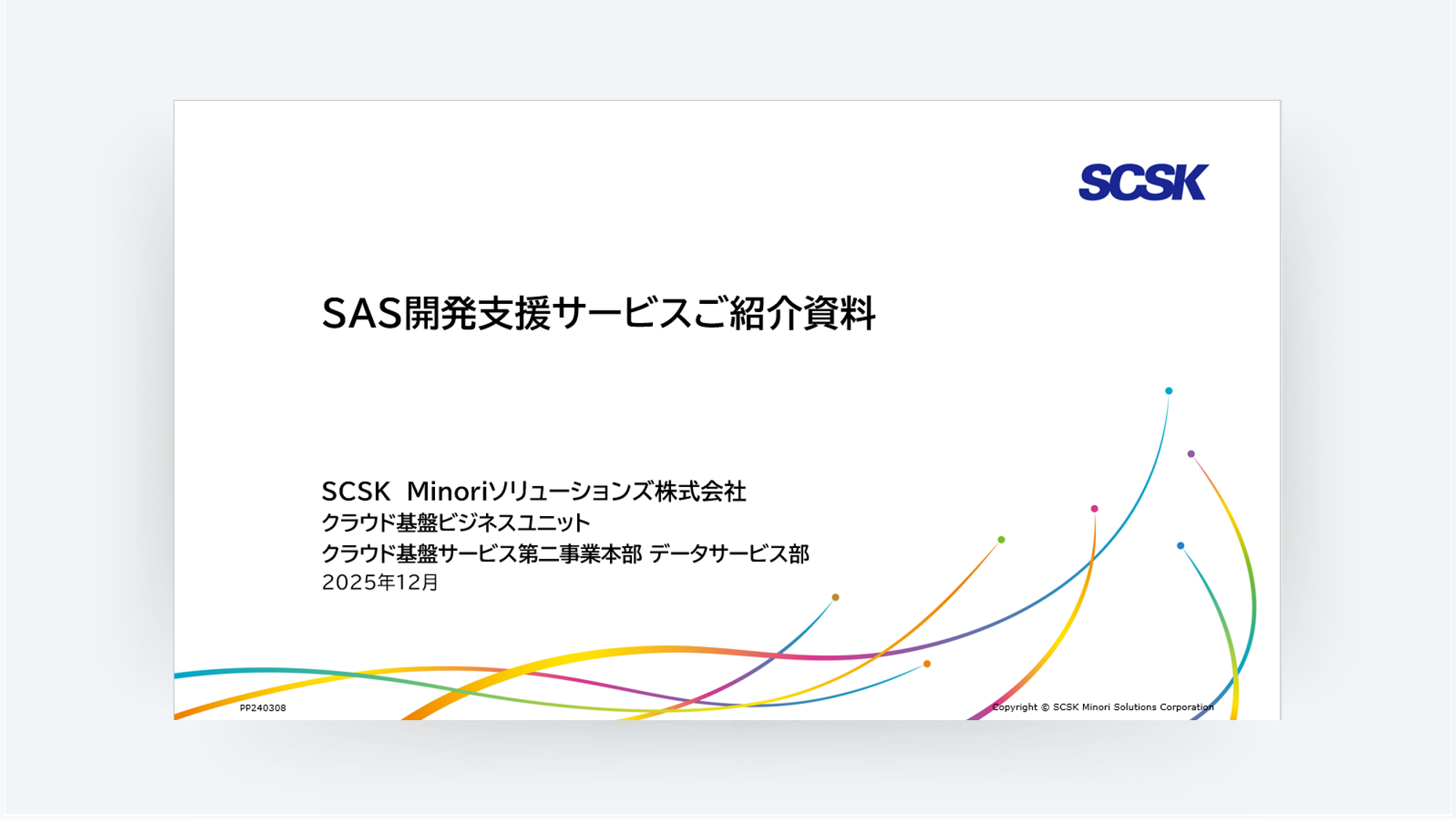 SAS開発支援サービス